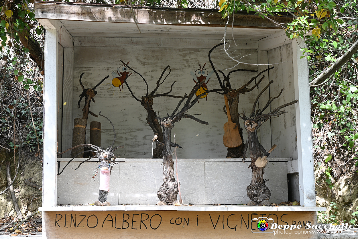 VBS_3218 - Mango (Cuneo) - Gnomovia.jpg